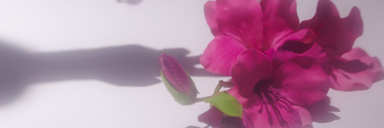 pascal banner
