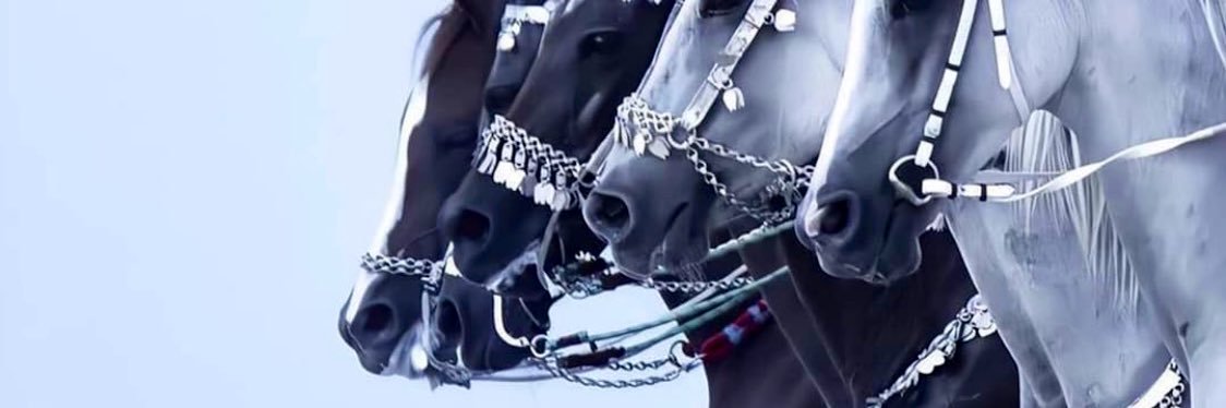 Chiromzz's profile banner image
