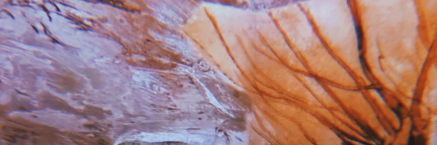 gabizzanella's profile banner image