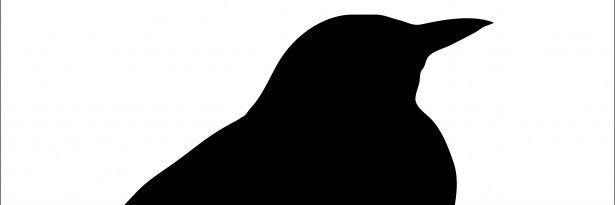 feketeriko44's profile banner image