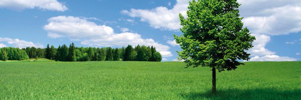 scanofficegroup Profile Banner