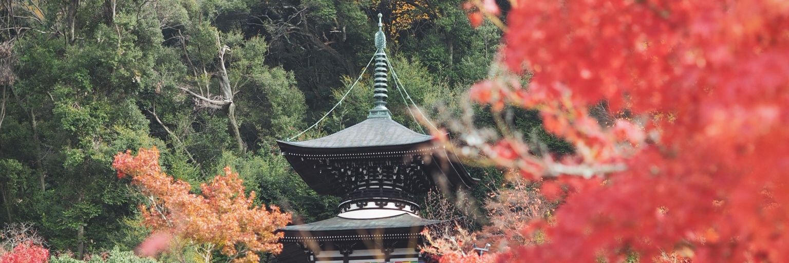 AChatkaew's profile banner image