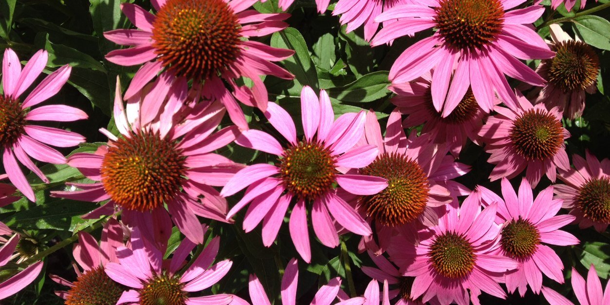 DrKaren's profile banner image