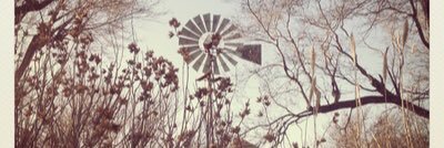 wildergin's profile banner image