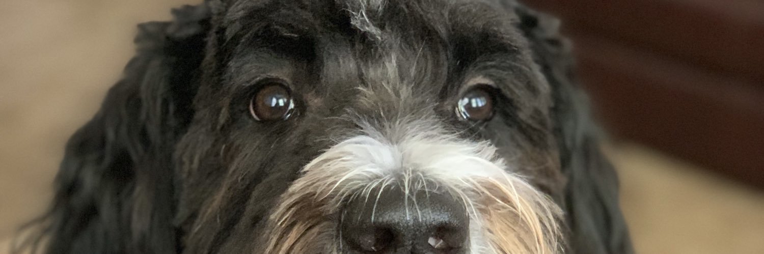 IAmJakesTweets's profile banner image