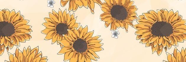SchwayBug's profile banner image