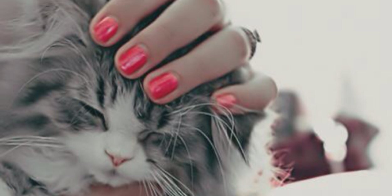 Reeom0707's profile banner image