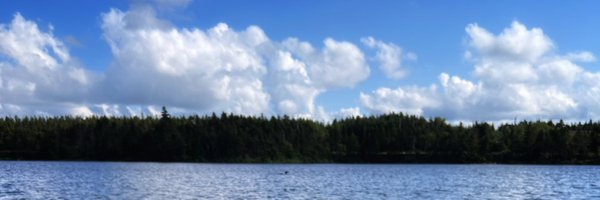 teramc Profile Banner