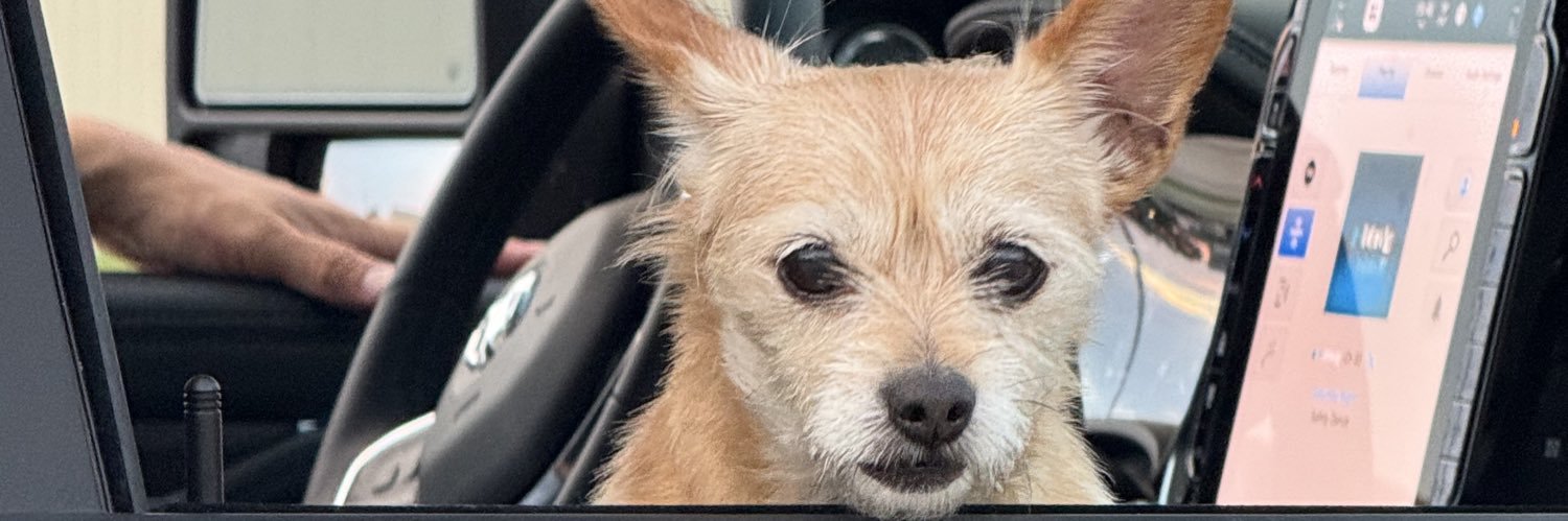 Mr. Alex_Fogg banner