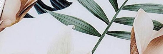 Manonmttr's profile banner image