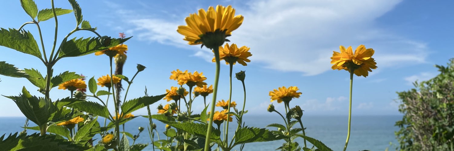 Veryfried Human banner