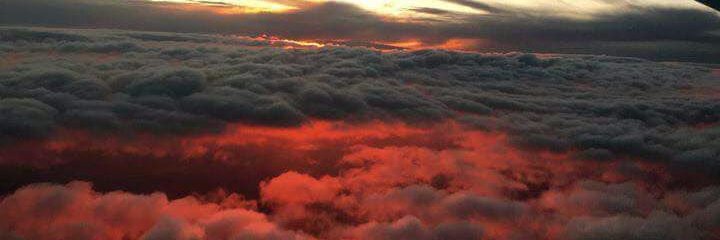 linenunesp__'s profile banner image