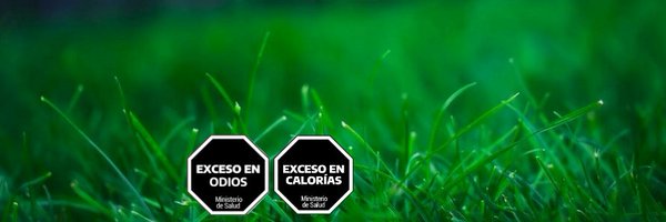 x_r3g_x Profile Banner