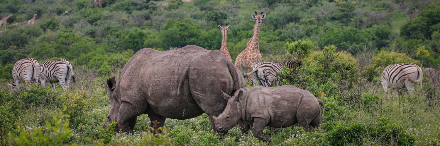 THULA SOUTH AFRICAN CONSERVATION FUND banner