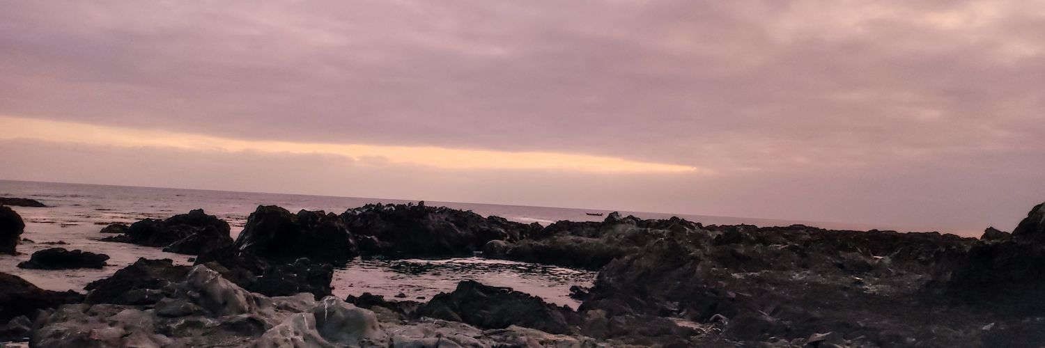 krodd_chile banner