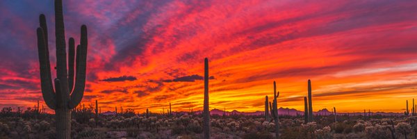 jaybakerAZ Profile Banner