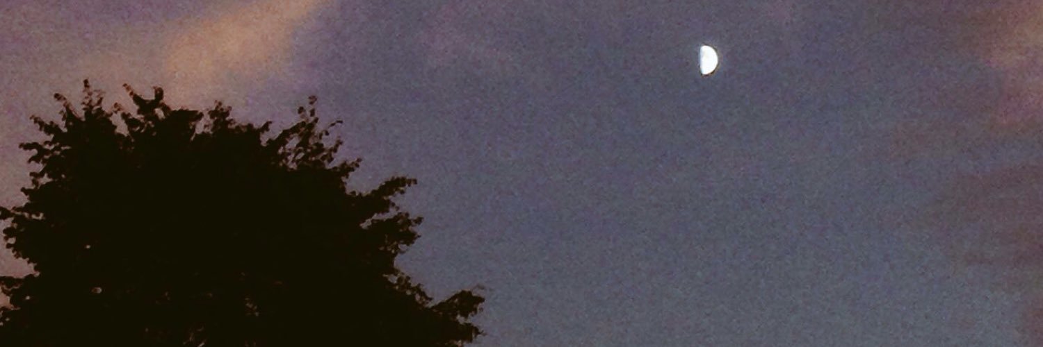 evelmoon's profile banner image