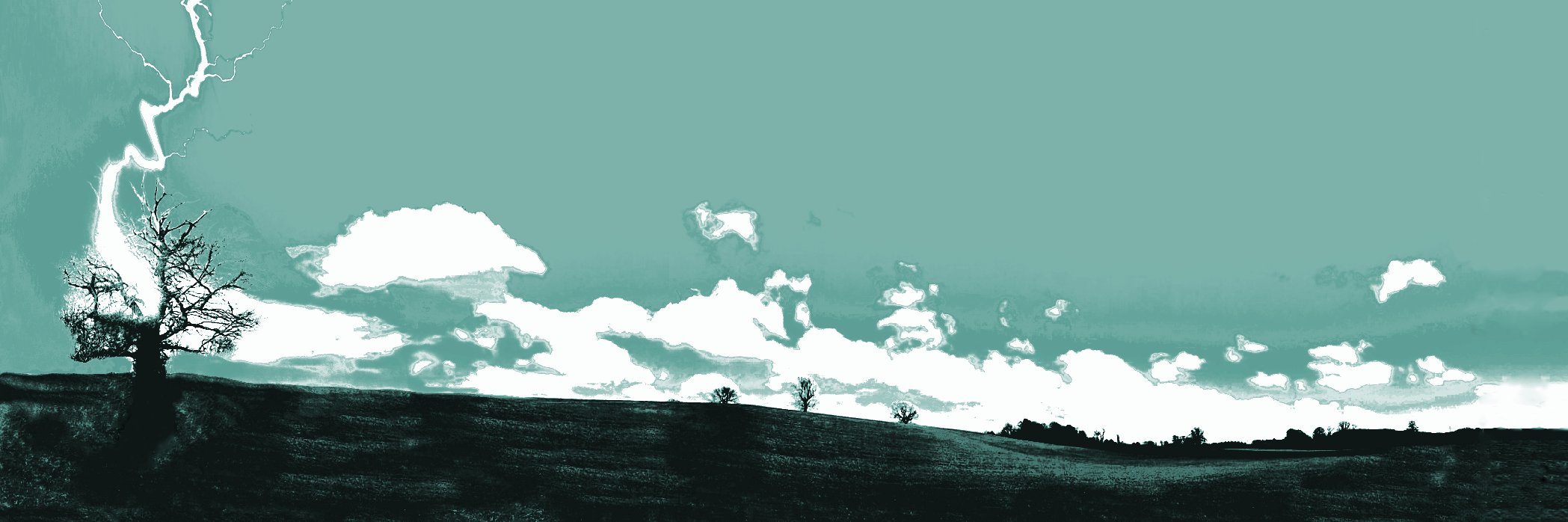 newfiretree's profile banner image