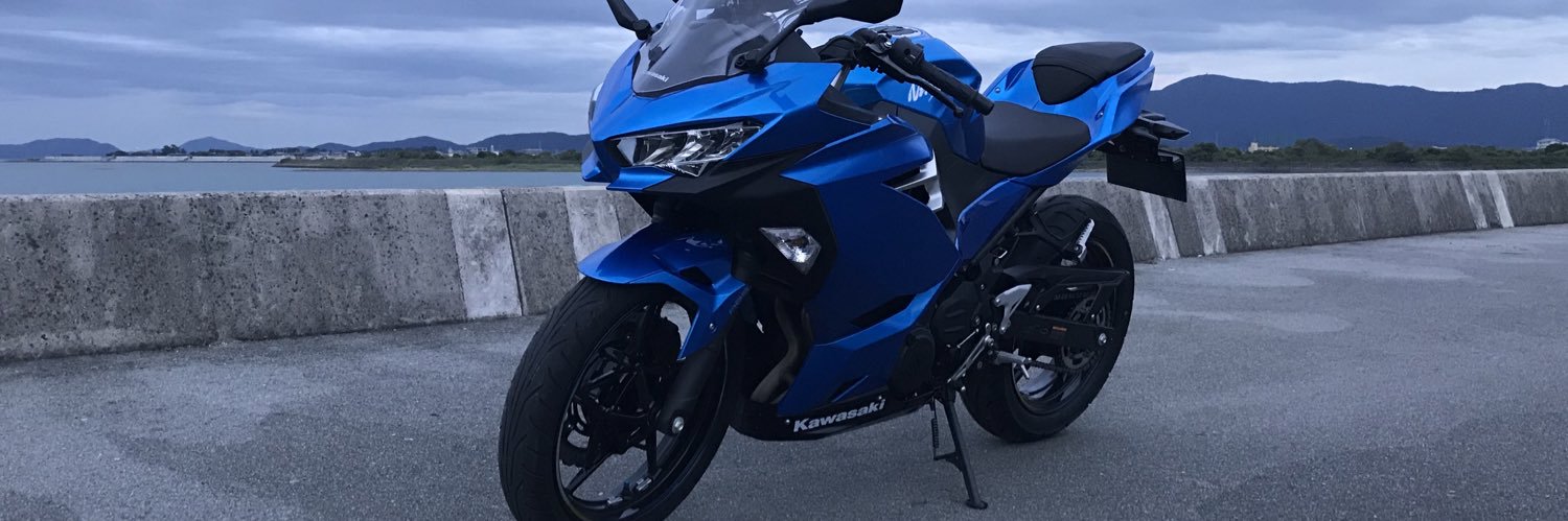 りぶ@NINJA250 banner