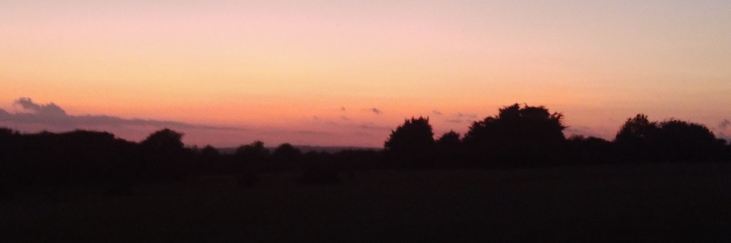 Ben Alexander banner