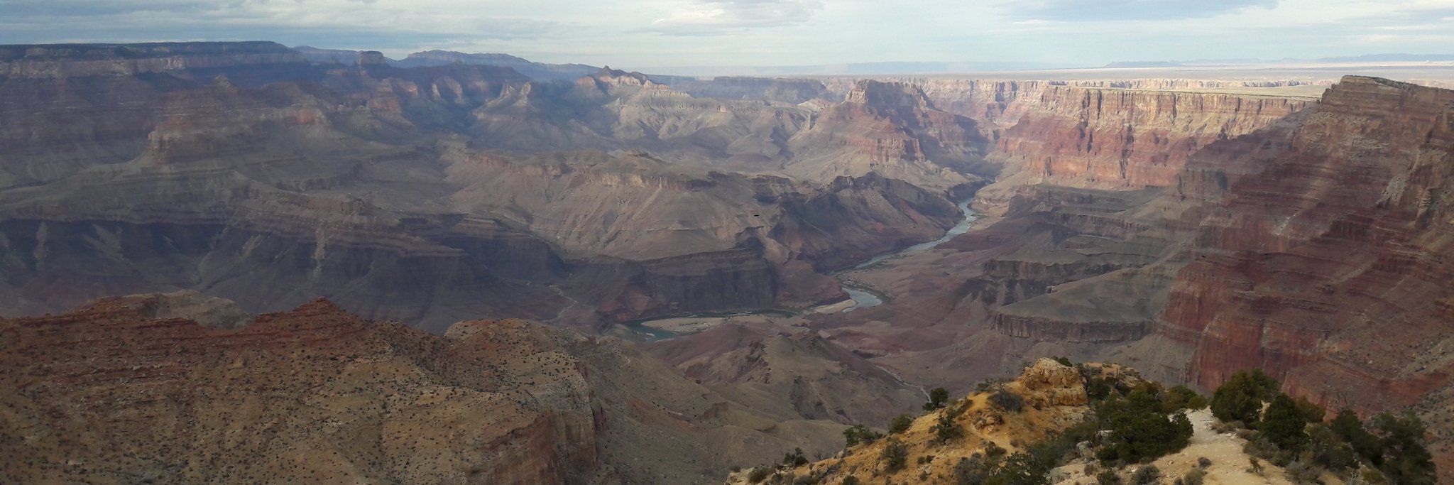 Triana Jarman banner