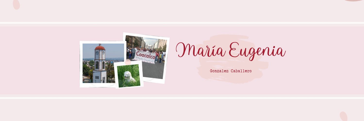 María Eugenia González Caballero banner
