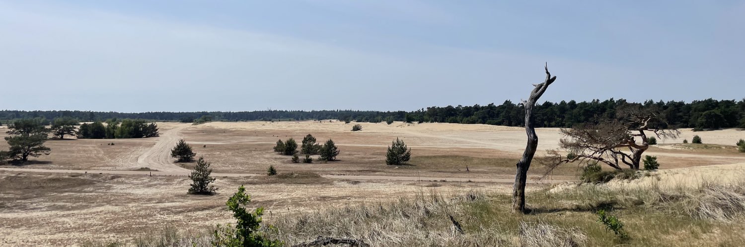 Stephan van Huis banner