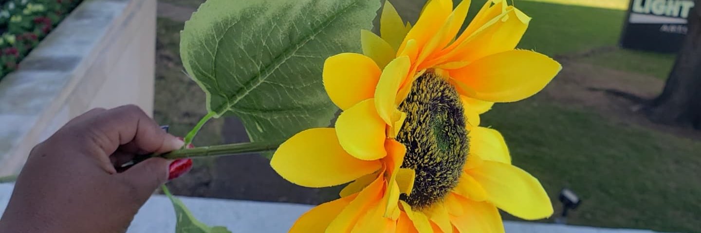 Msketa81's profile banner image
