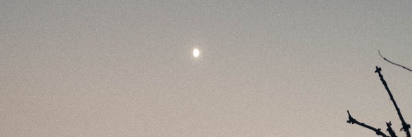 RachelSermanni Profile Banner