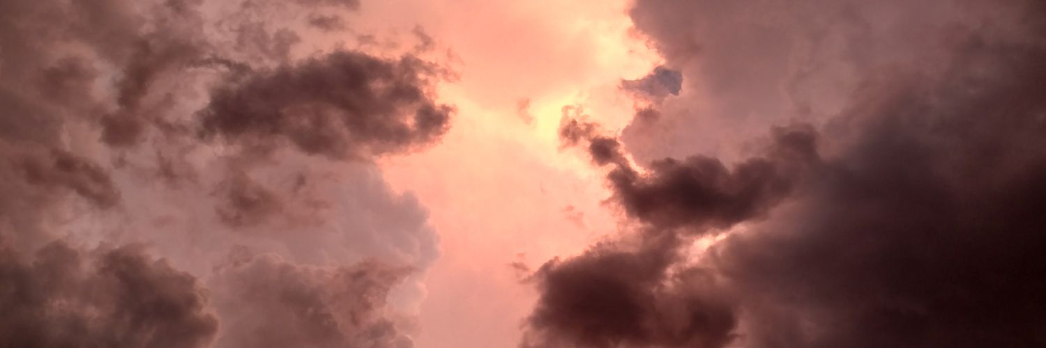 lripplin's profile banner image