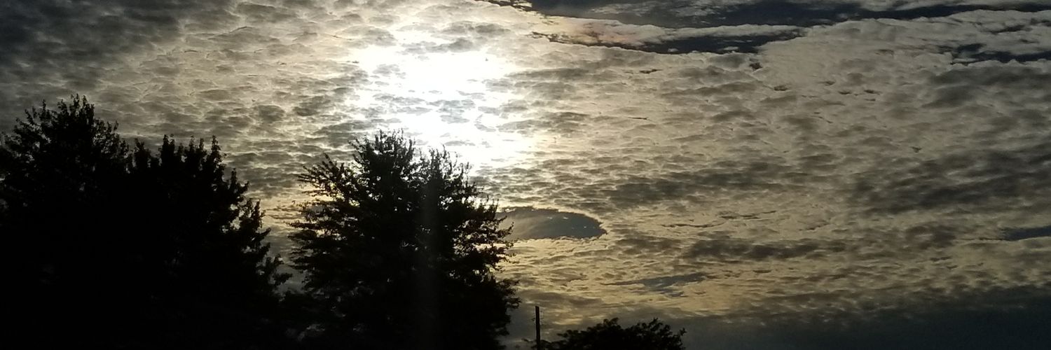 KendallMccomis's profile banner image