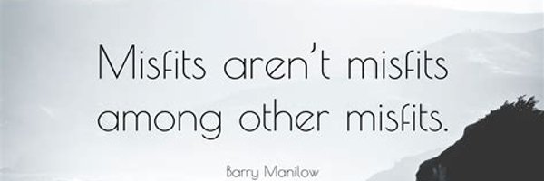 MisfitsPolitics Profile Banner