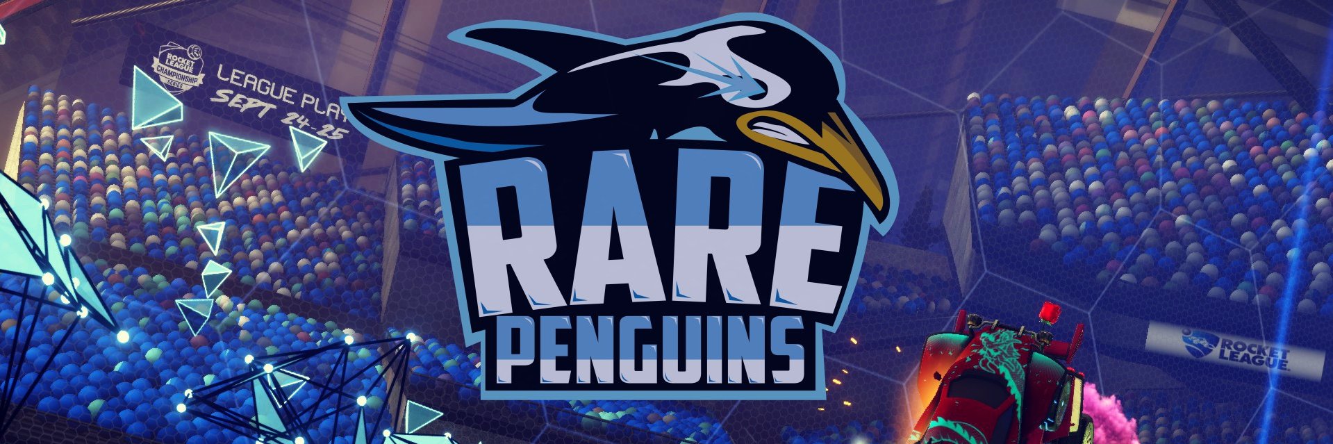 RarePenguinsRL's profile banner image