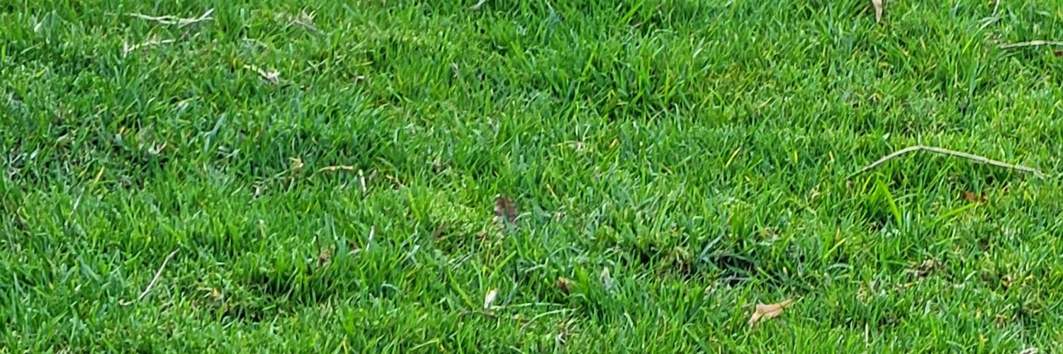 TakundaMuganda's profile banner image