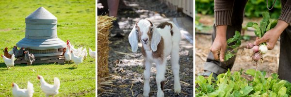 FarmTrails Profile Banner
