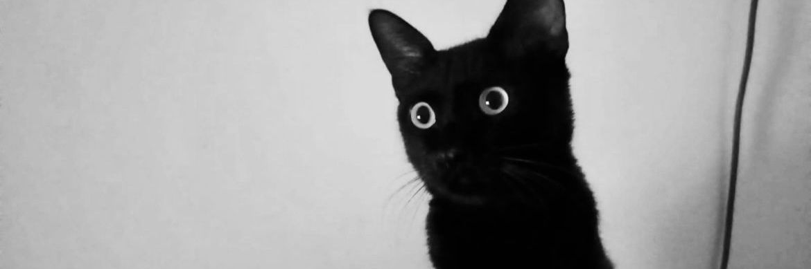 arpanmeh's profile banner image