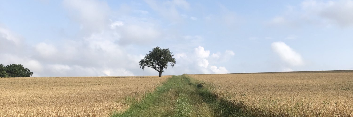 MartyCaffrey's profile banner image