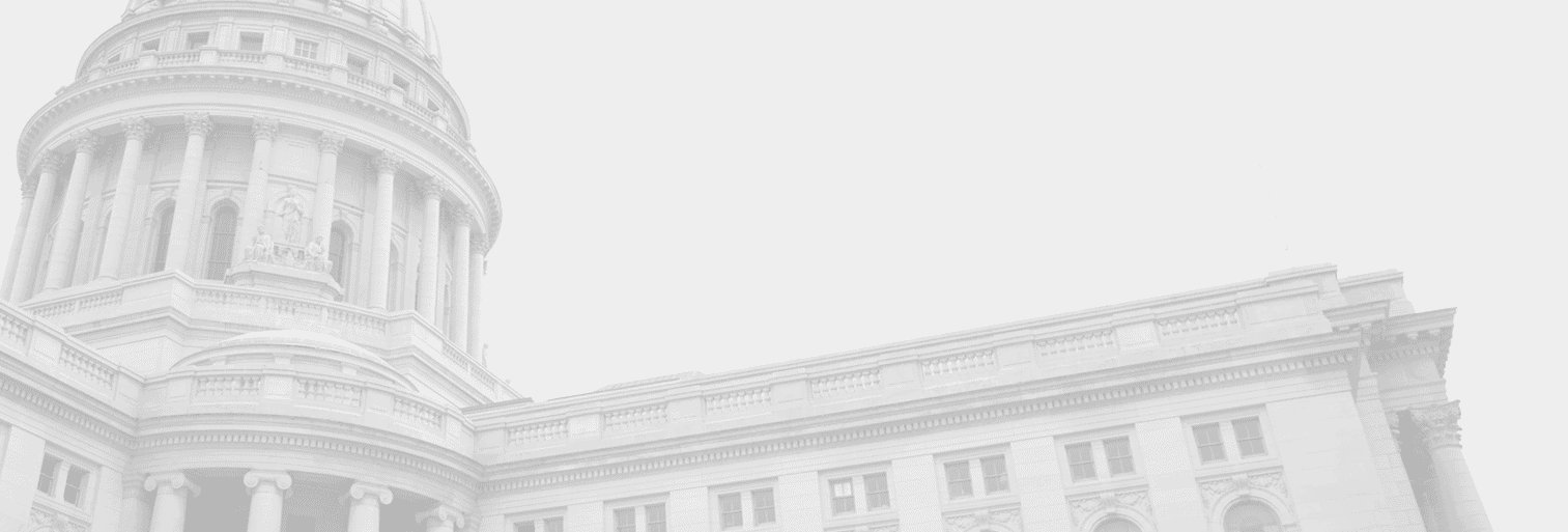 Wisconsin Elections's banner