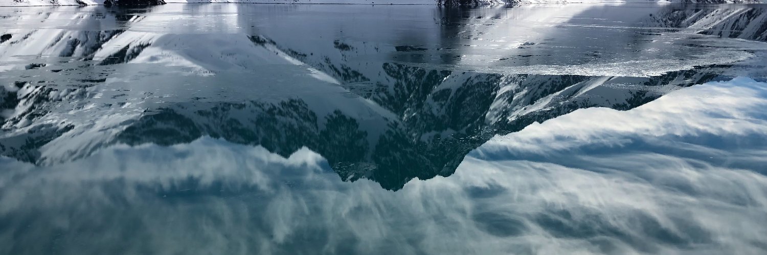 laisdeassis's profile banner image