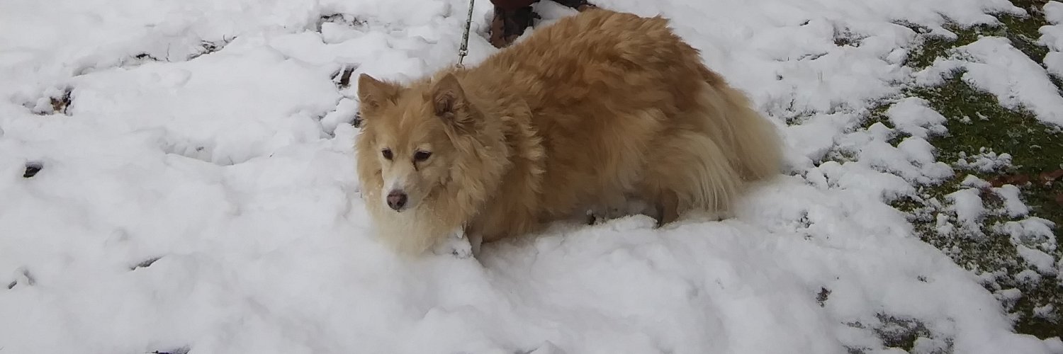 Gay Fawn Knauf banner