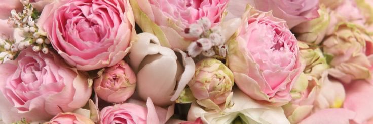 dayung timengen 🇲🇾 banner