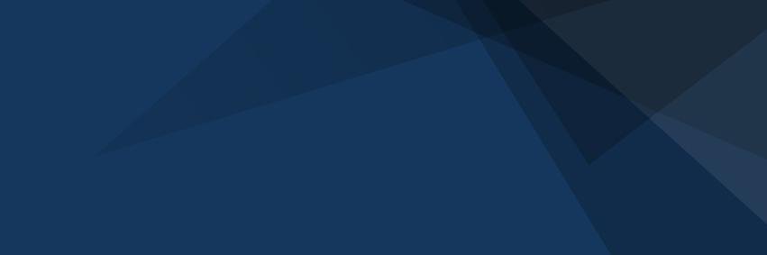 RLC Bochum e.V. banner