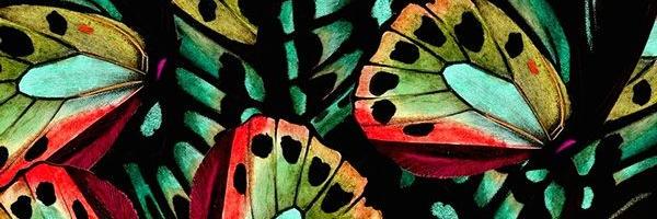 JennMoquin's profile banner image