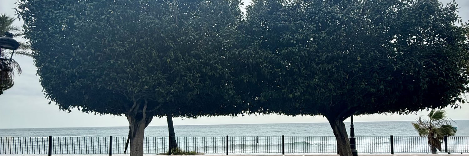 Merjamainio's profile banner image
