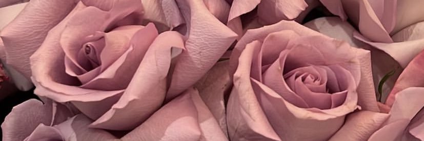 andinitetti's profile banner image