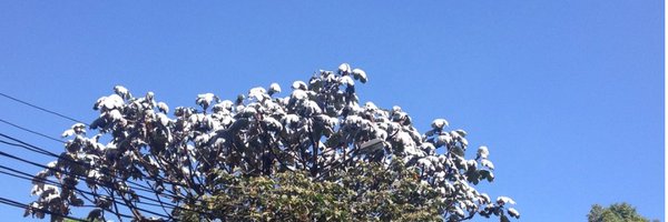 manuel_rodb Profile Banner