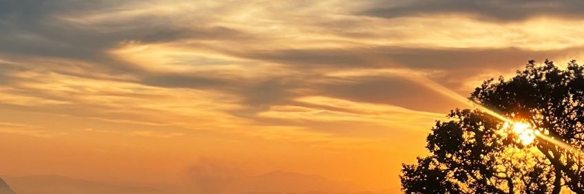 serenx_b's profile banner image