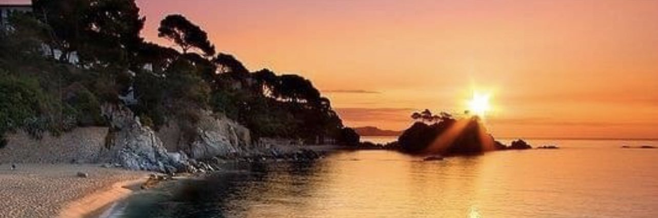 victor reyes banner