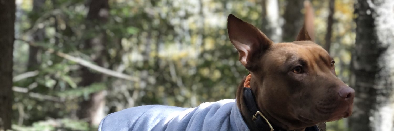 LabtheCook's profile banner image
