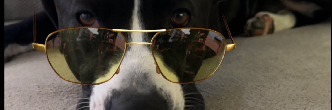 ljmarraccini's profile banner image